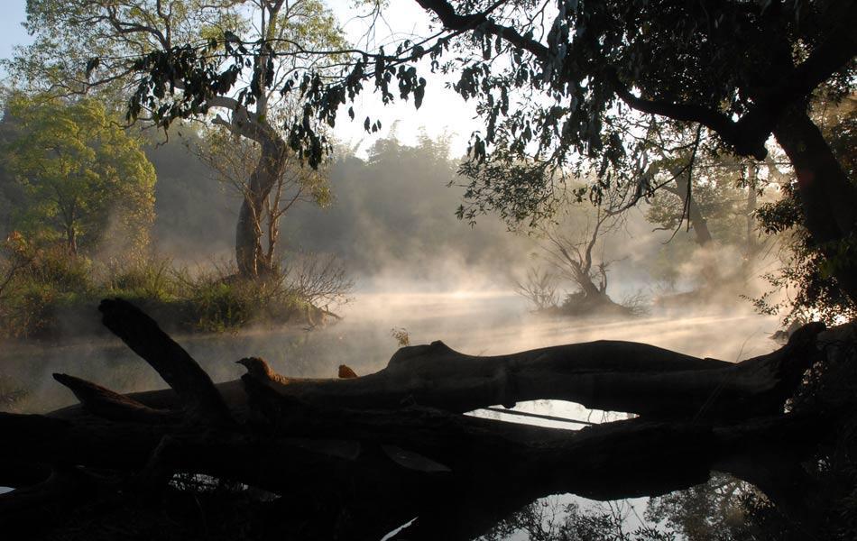 Kushālnagar Coorg Anekad Jungle Stay מראה חיצוני תמונה